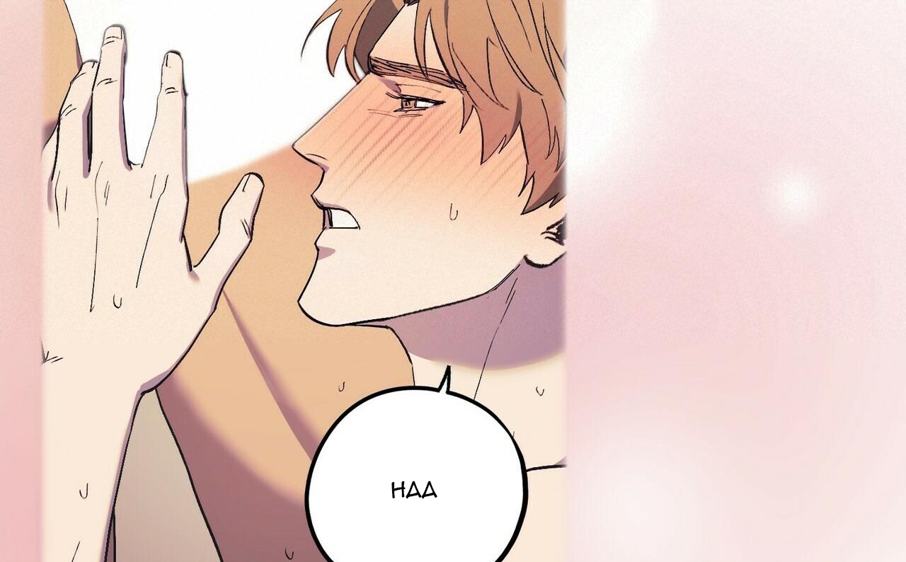 chàng dâu nhà họ kang chapter 18 74