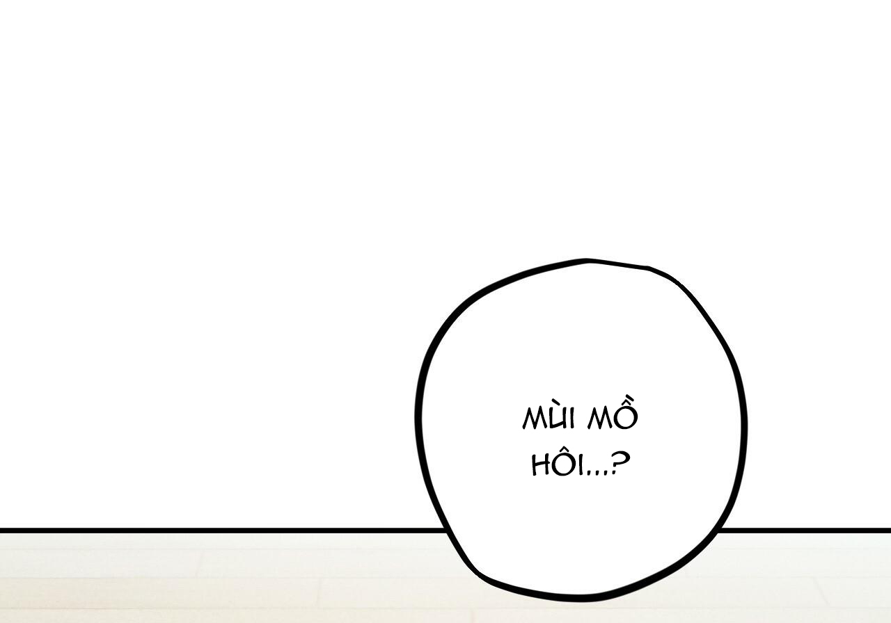 đàn thỏ của habibi chapter 29 196