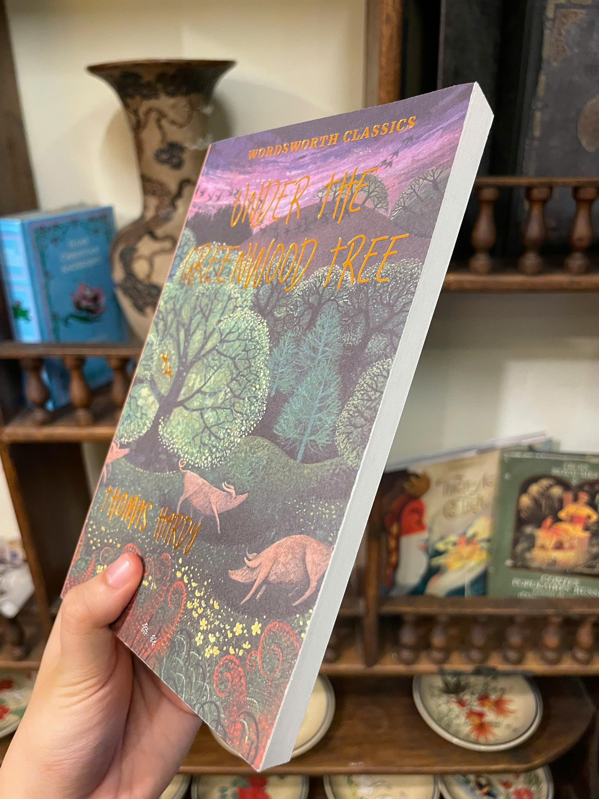 Sách - Under the Greenwood Tree (Wordsworth Classics) by Thomas Hardy | English Romance Book