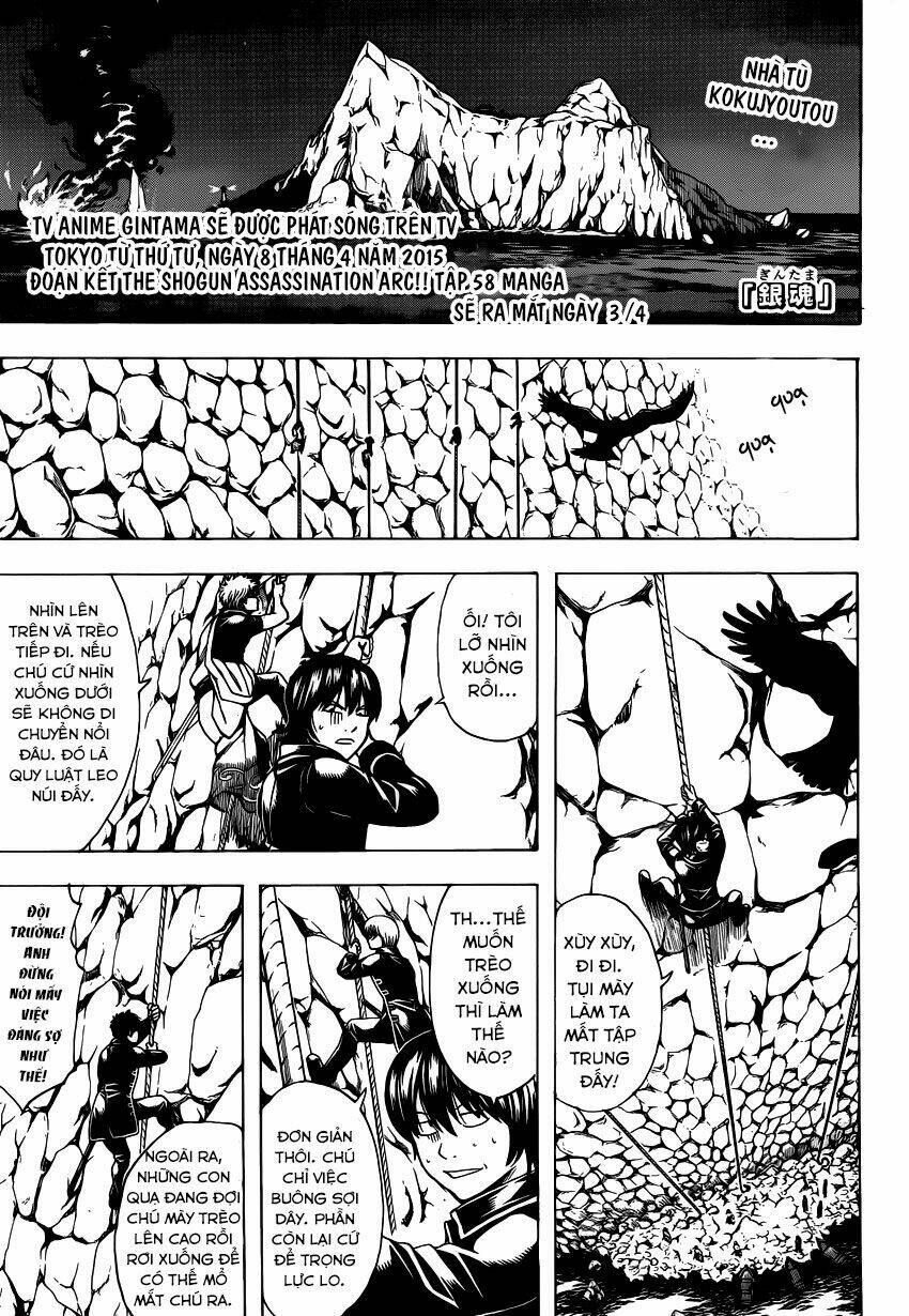 gintama - linh hồn bạc chapter 534 1