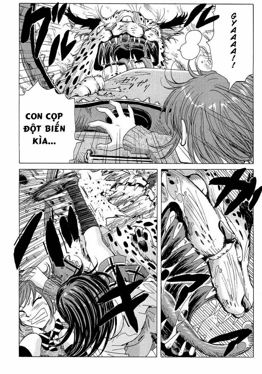 cúp quốc sư tử chapter 20 11