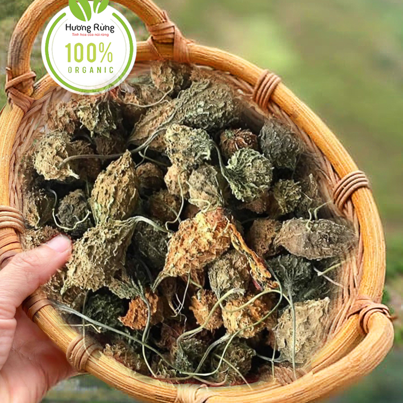 Khổ qua rừng 1kg nguyên trái sấy khô, mướp đắng rừng, loại tuyển chọn chuẩn rừng nguyên chất