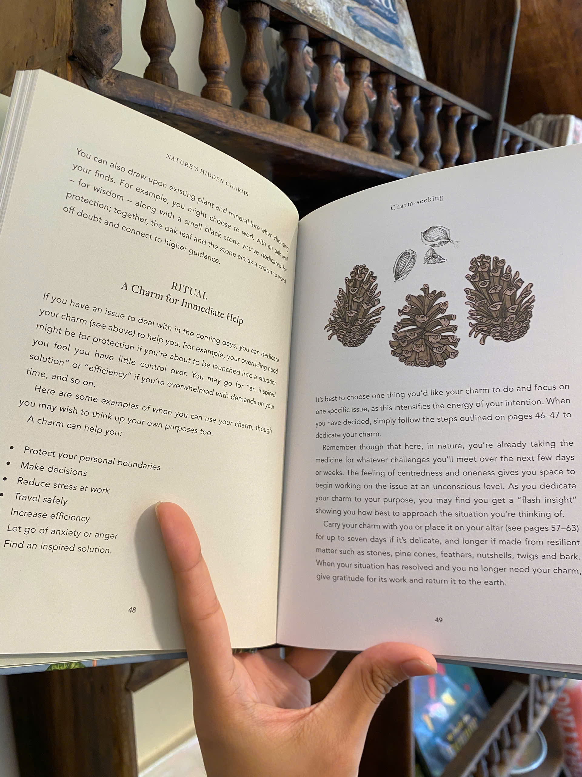 Sách - Nature's Hidden Charms by Liz Dean | Practices from Natural World for Healing Inner Peace