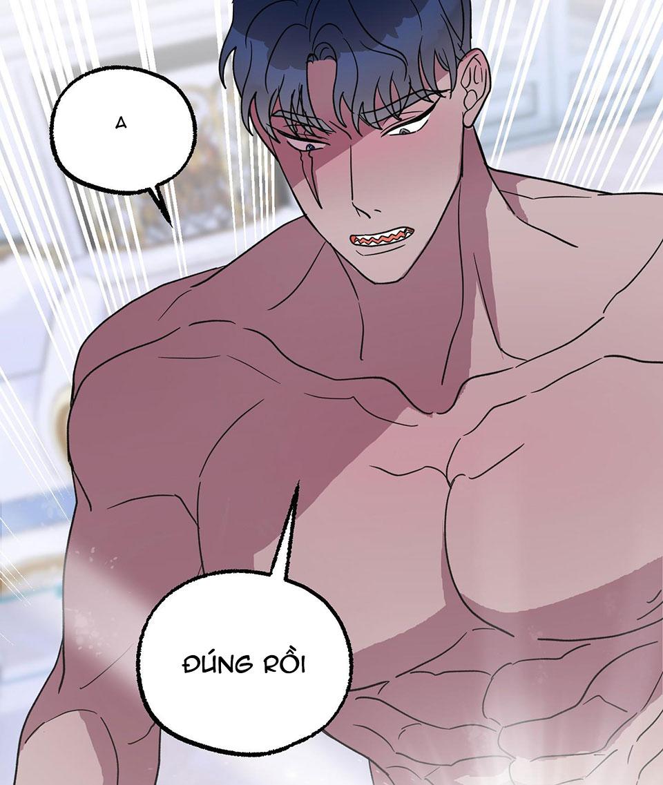 cá mập và cô dâu thỏ chapter 4 29