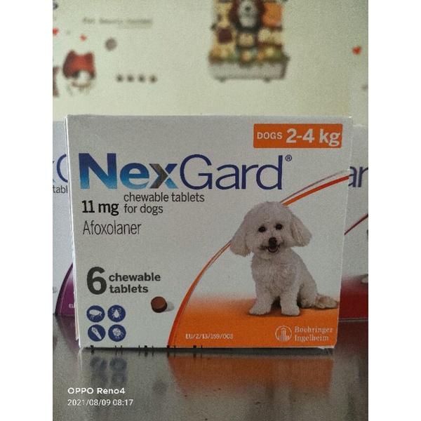 Nexgard cho chó mọi lứa tuổi, cân nặng