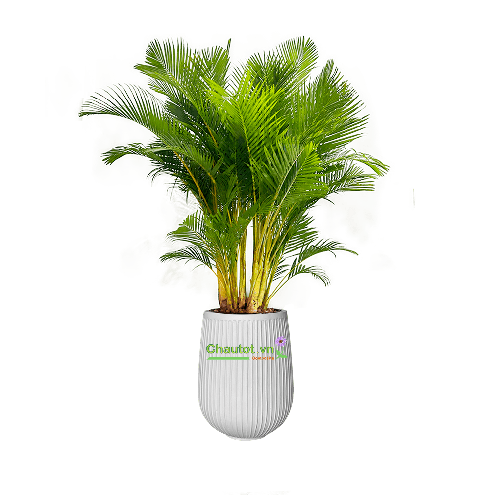 Chậu Composite tròn tân cổ điển 45x45x58cm|Màu Trắng|CT2030-BAOBINH