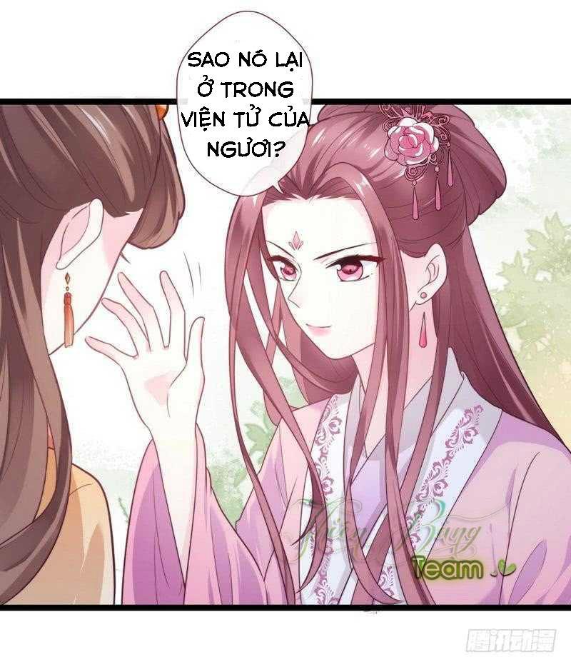 vương phi - âm động thiên hạ chapter 28 14