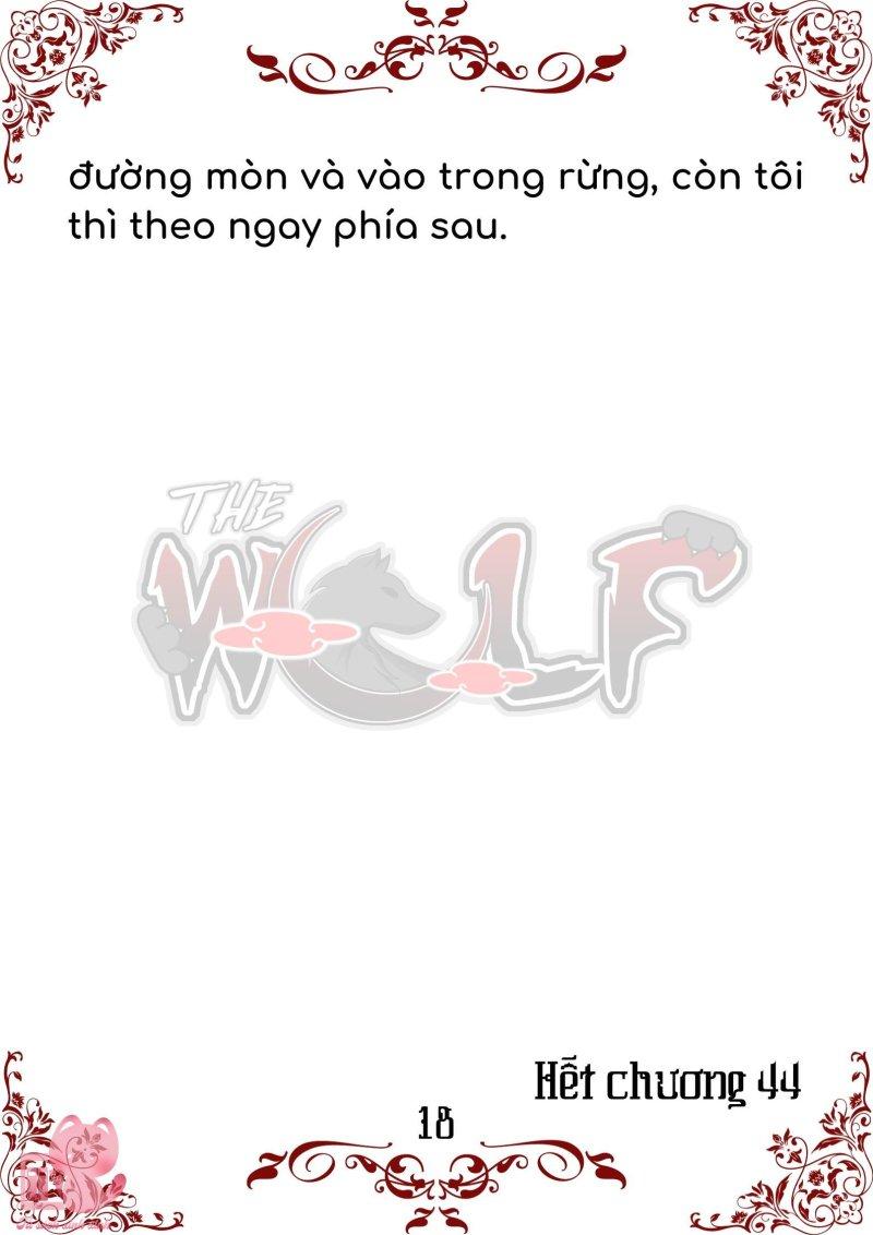 bầy sói giữa dane chapter 44 18