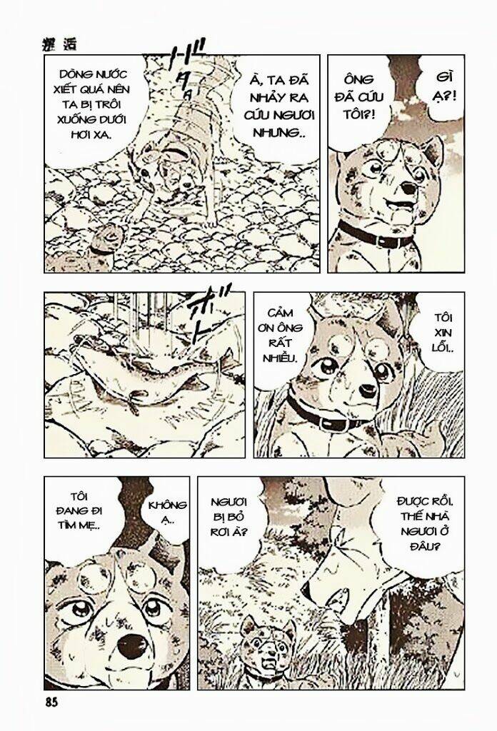 ginga densetsu riki chapter 3 13