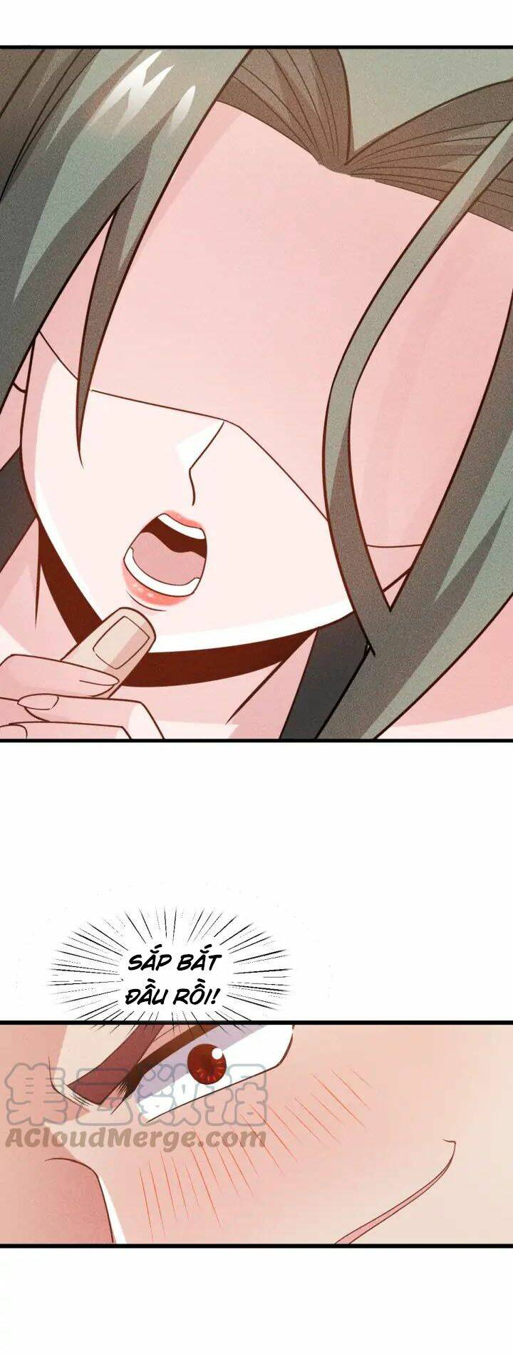 cao thủ cận vệ của nữ chủ tịch chapter 152 15