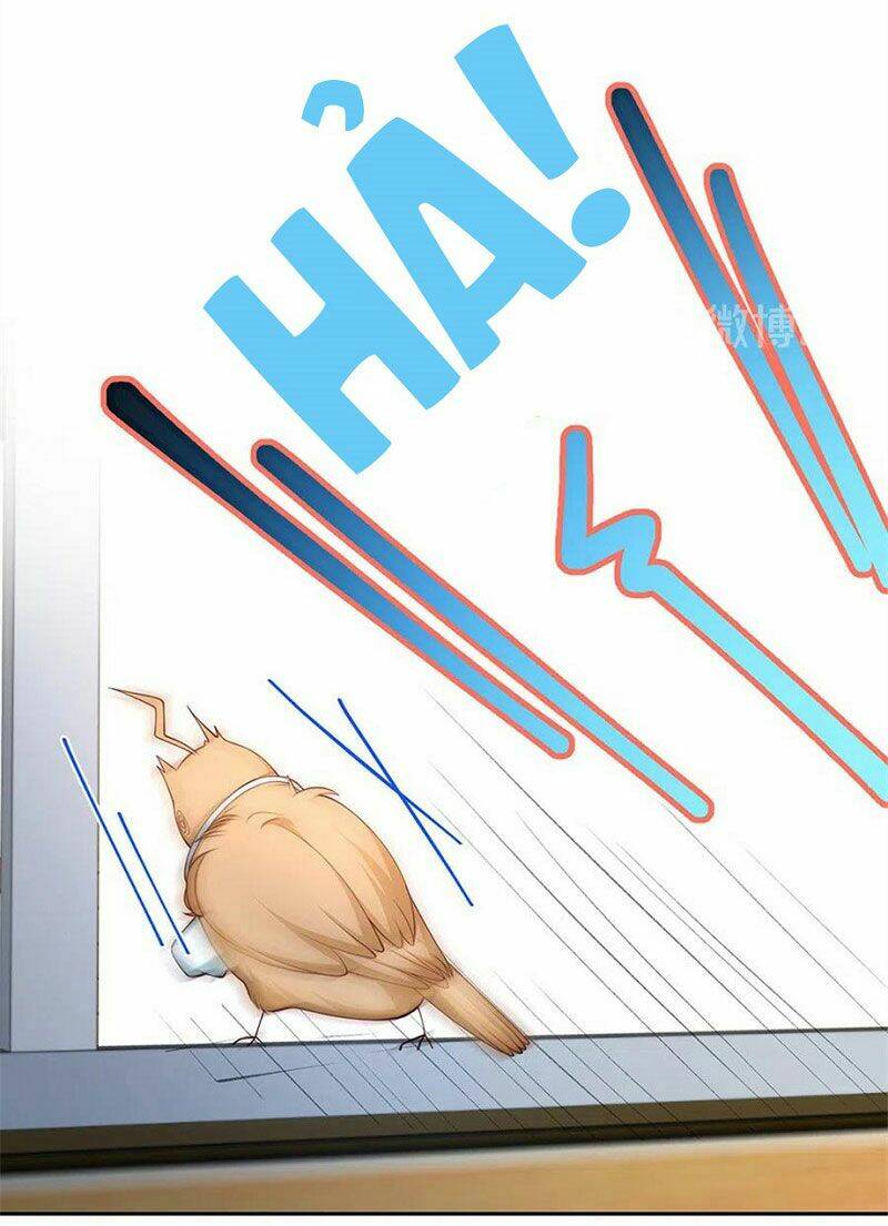 nam thần truy thê chỉ nam chapter 107.1 4