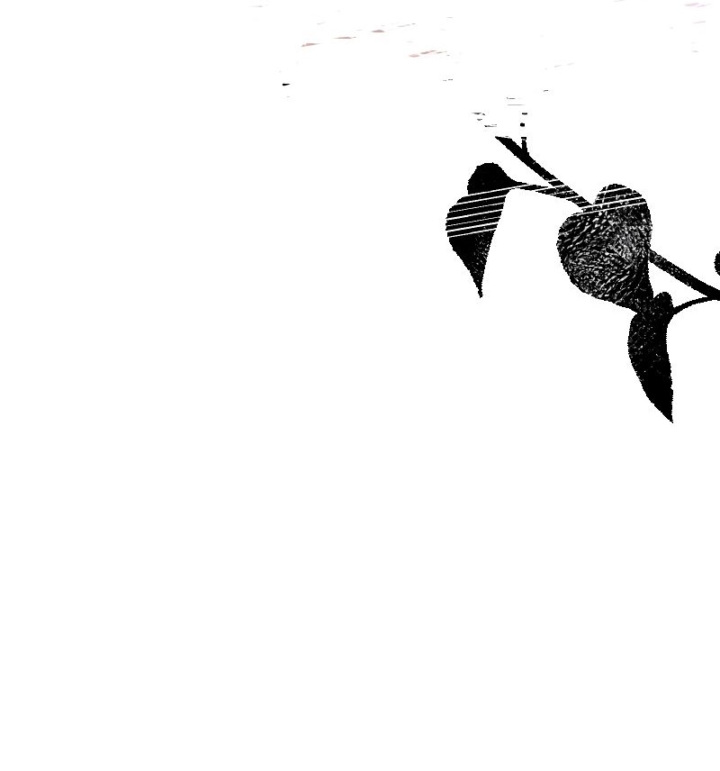 mù quáng vì yêu anh chapter 12 29