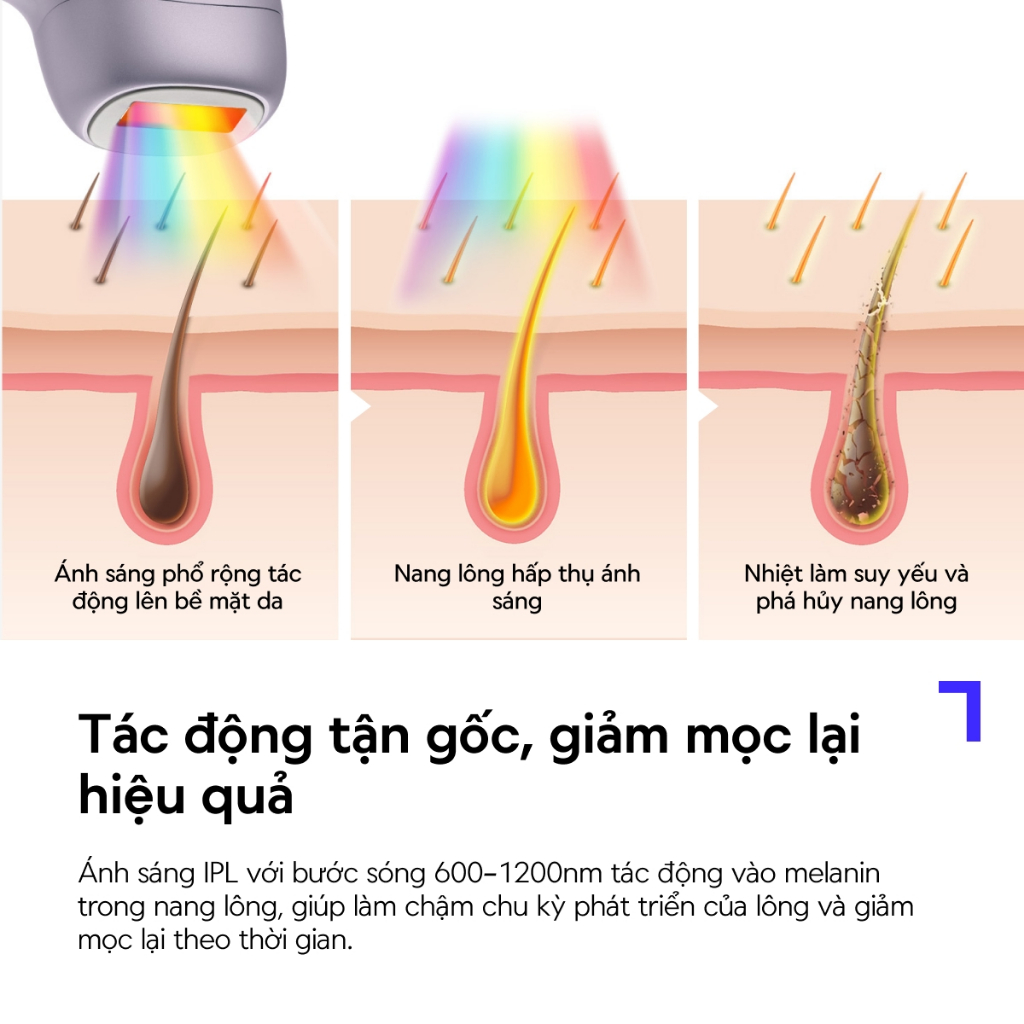 Máy Triệt Lông LocknLock IPL 9 mức nhiệt ENC311PUP, Công Nghệ Làm Lạnh Ice Cooling, Màu Tím - Hàng Chính Hãng - JoyMall