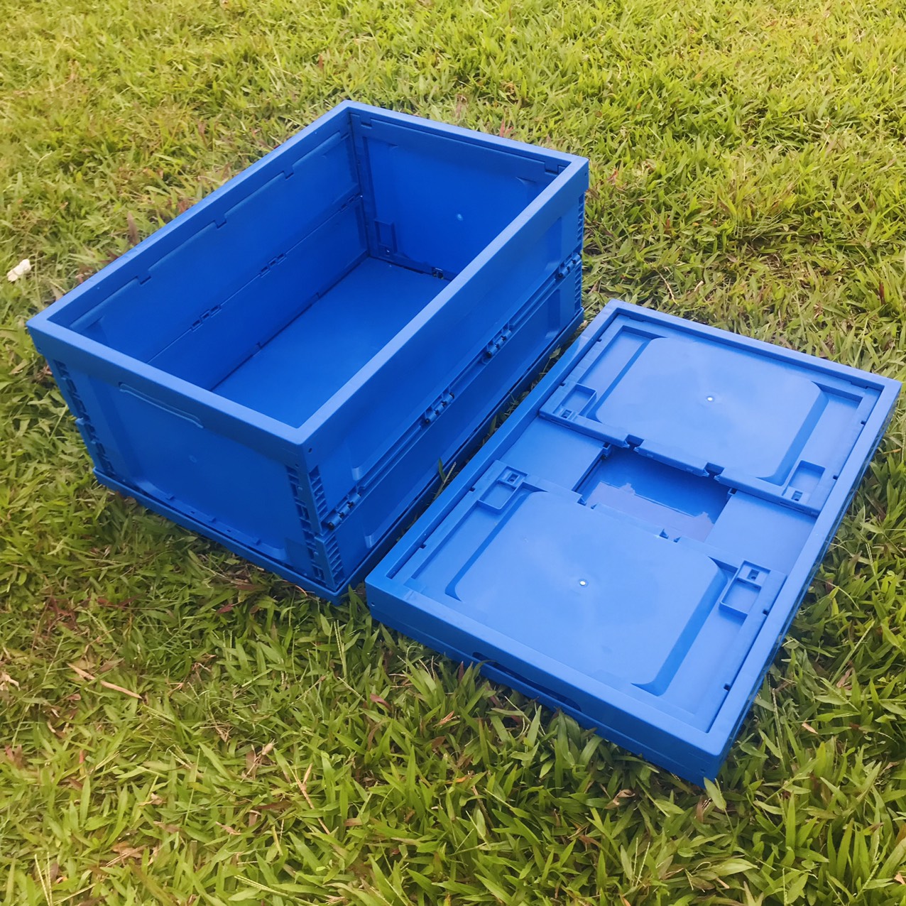 Thùng Đựng Đồ 65L Loại Siêu Dày - Hộp Để Đồ Gấp Gọn Đa Năng , Để Cốp Sau Ô Tô - Tiện Lợi , Nhựa PP Cao Cấp