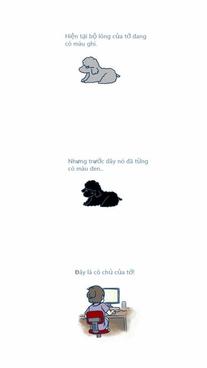 my kitty and old dog chapter 2 2