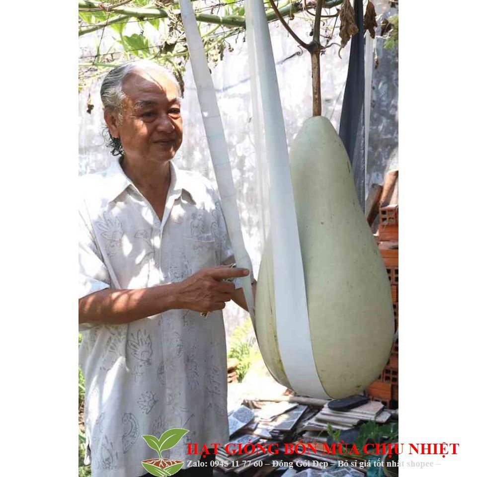 HẠT GIỐNG BẦU siêu to, khổng lồ" nặng từ 15-30 kg gói 5 hạt