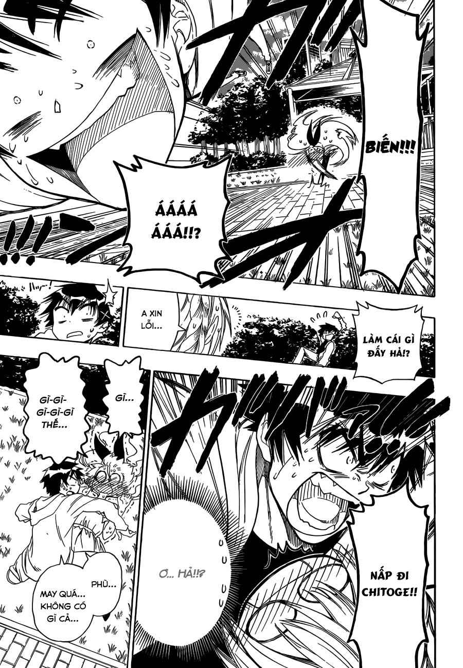 nisekoi - tình yêu giả tạo chapter 74 10