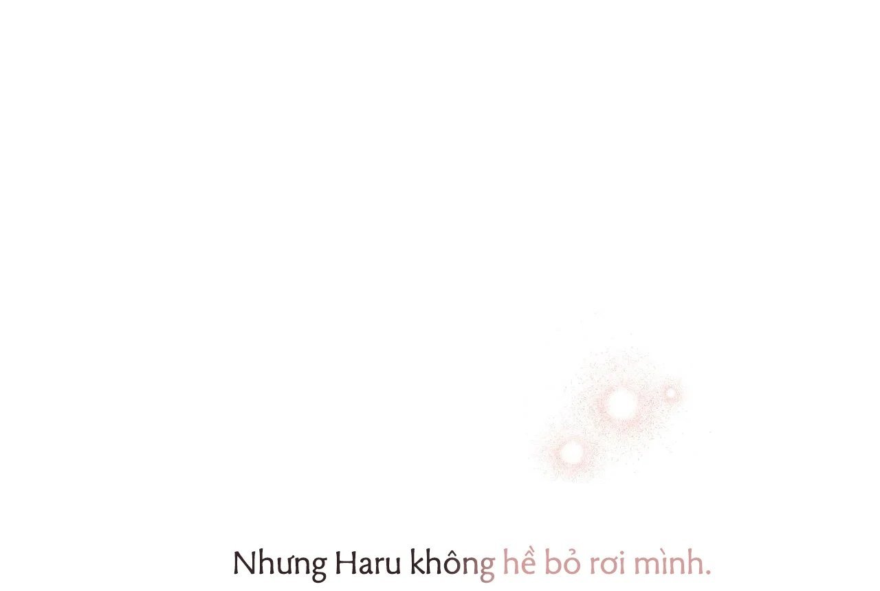 những chú thỏ của hapypy chapter 65 102