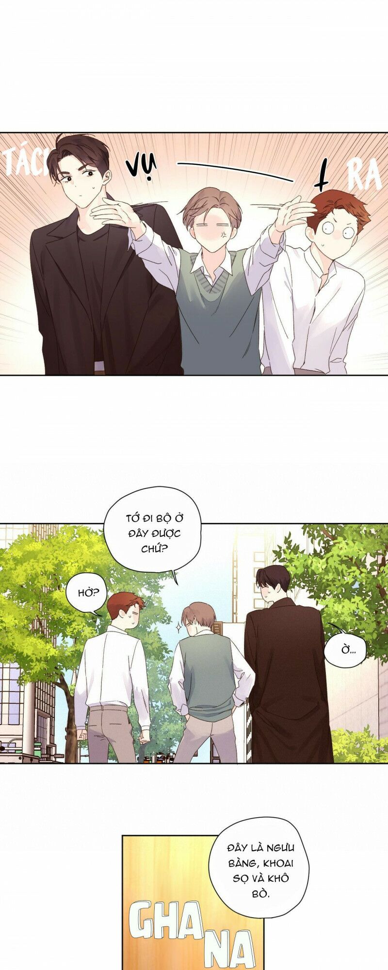 tình nhân 4 tuần chapter 60 27