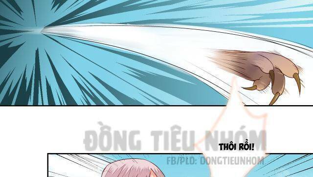 đốt đào hoa chapter 21 10