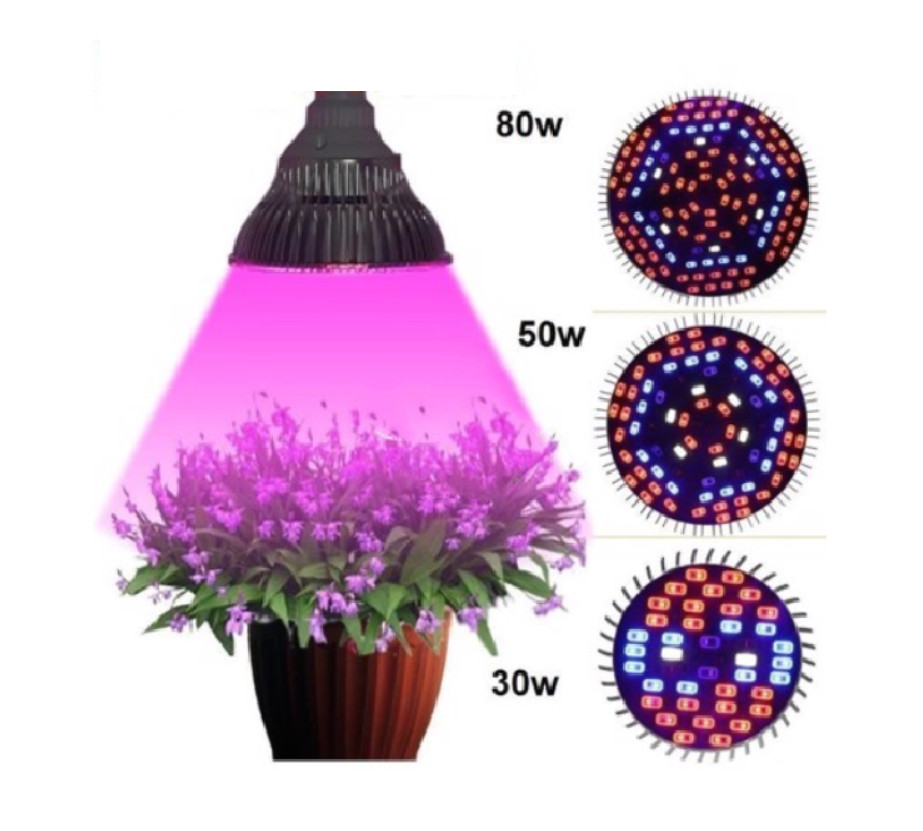 Led hỗ trợ trồng cây 80w