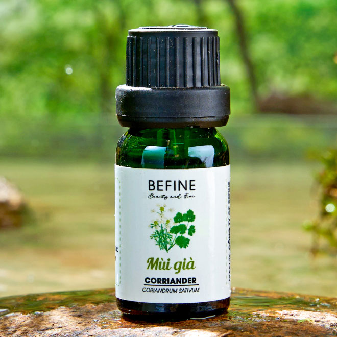 Tinh dầu mùi già (ngò rí) nguyên chất cao cấp Befine - hương thơm tết Việt (kèm kiểm nghiệm GCMS)