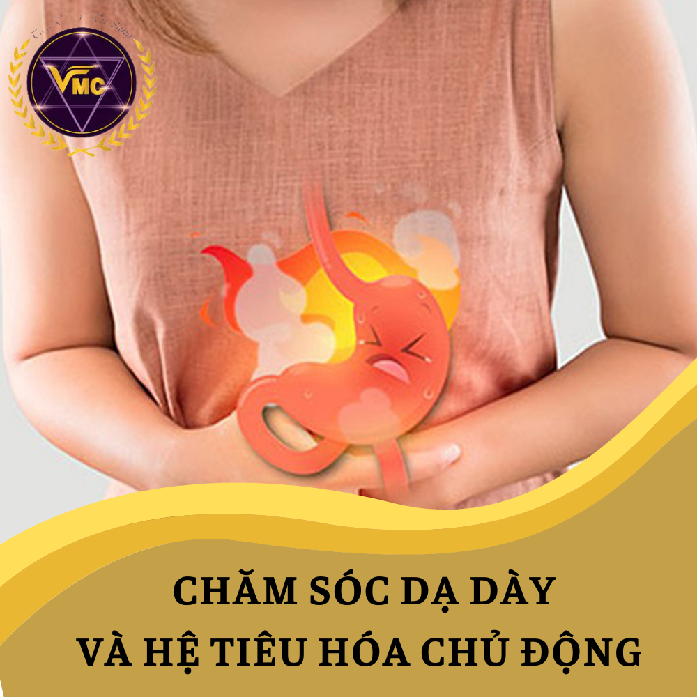 Khóa Hoc Video Online Chăm Sóc Dạ Dày Và Hệ Tiêu Hóa Chủ Động - Trung Tâm Chăm Sóc Sức Khỏe VMC