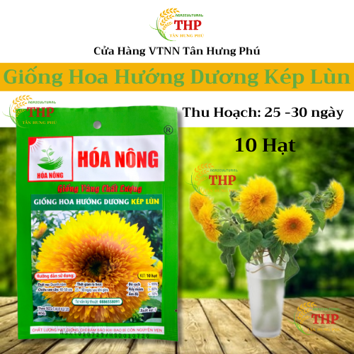 Hạt giống Hoa Hướng Dương Kép Lùn | Hạt giống | gói 10 hạt