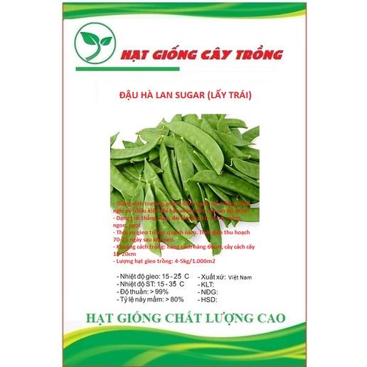 Hạt giống đậu hà lan CT153 - Gói 20gram