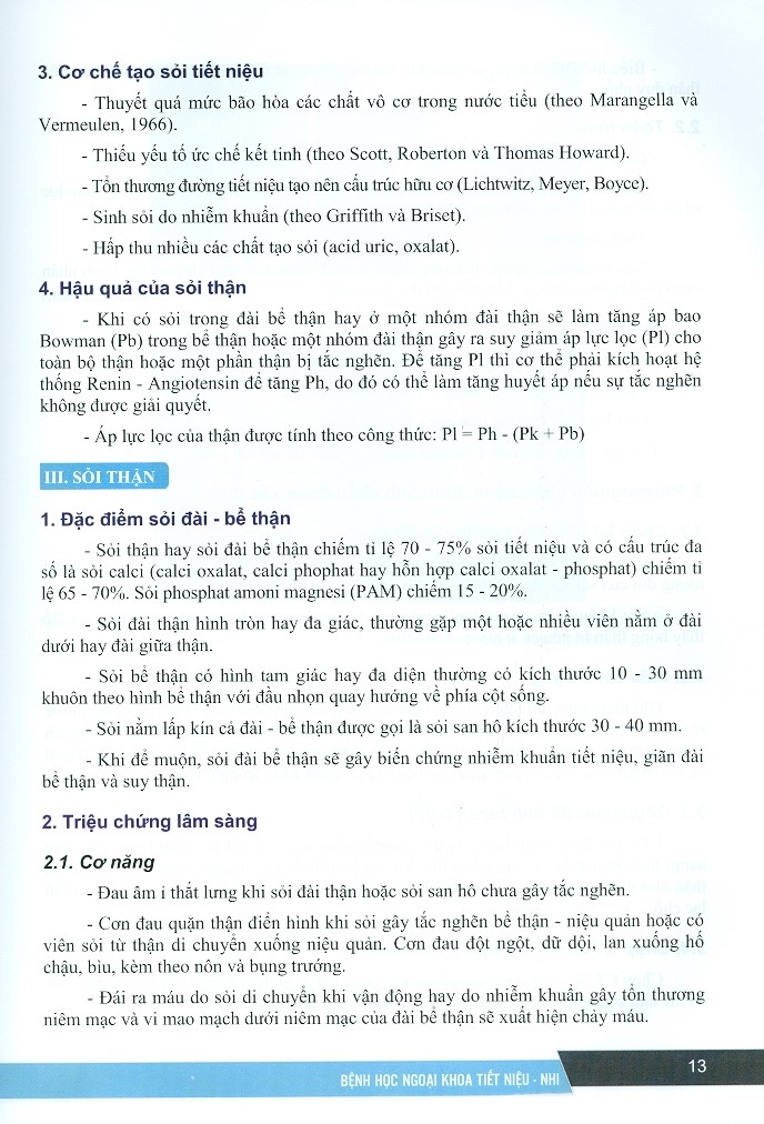 Bệnh Học Ngoại Khoa Tiết Niệu - Nhi (Dùng cho đào tạo sau đại học)