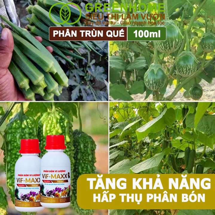 Phân Trùn Quế Greenhome, Lavamix, 100ml, Hữu Cơ Sinh Học, Thuỷ Phân Đậm Đặc, Bón Rau, Hoa, Kiểng