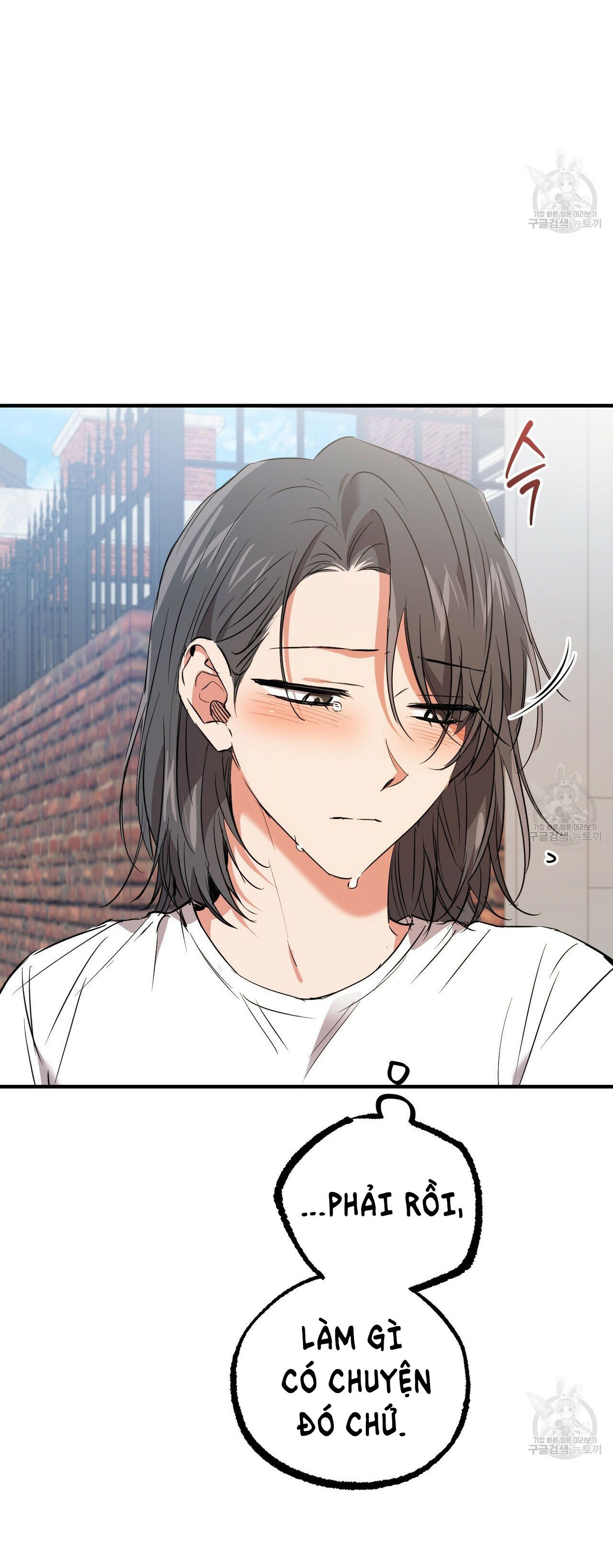 những chú thỏ của hapypy chapter 56.1 19