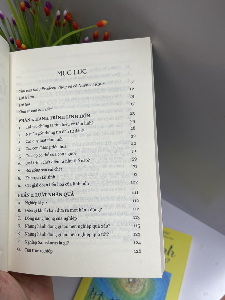 TỰ CHỮA LÀNH THÔNG QUA HIỂU BIẾT VỀ KHOA HỌC và TỰ CHỮA LÀNH – LÀM SAO ĐỂ KHAI SÁNG? - Thái Hà - NXB Thế Giới