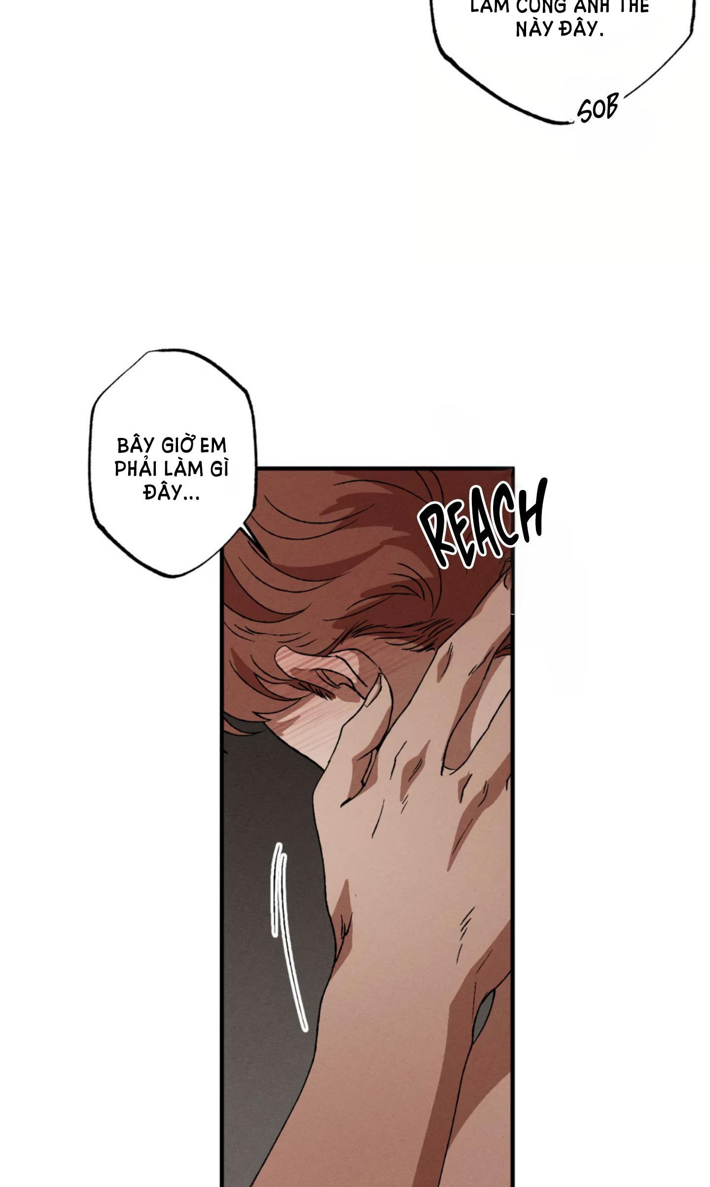 bẫy kép chapter 29.2 4