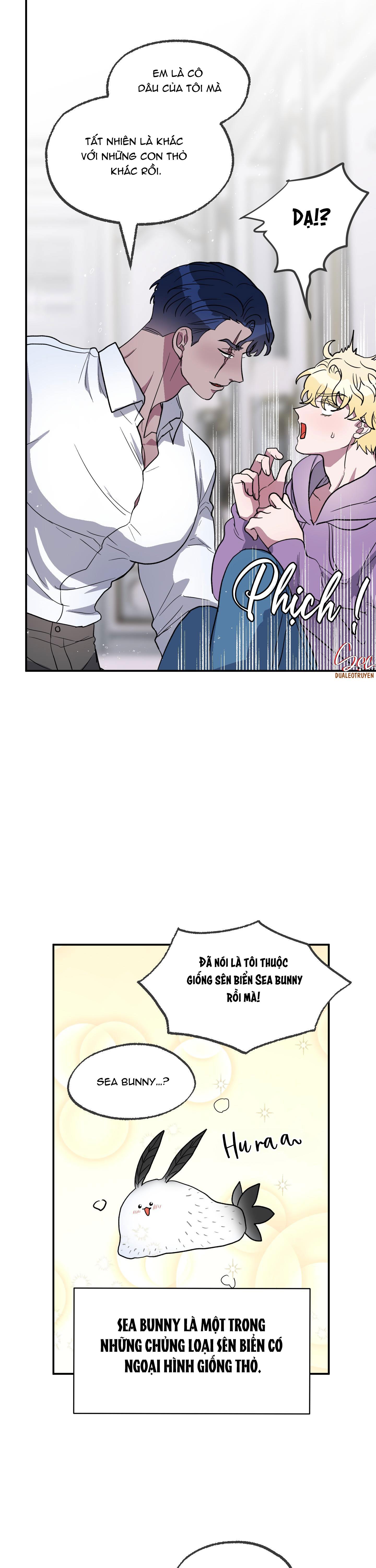 cá mập và cô dâu thỏ chapter 2 5