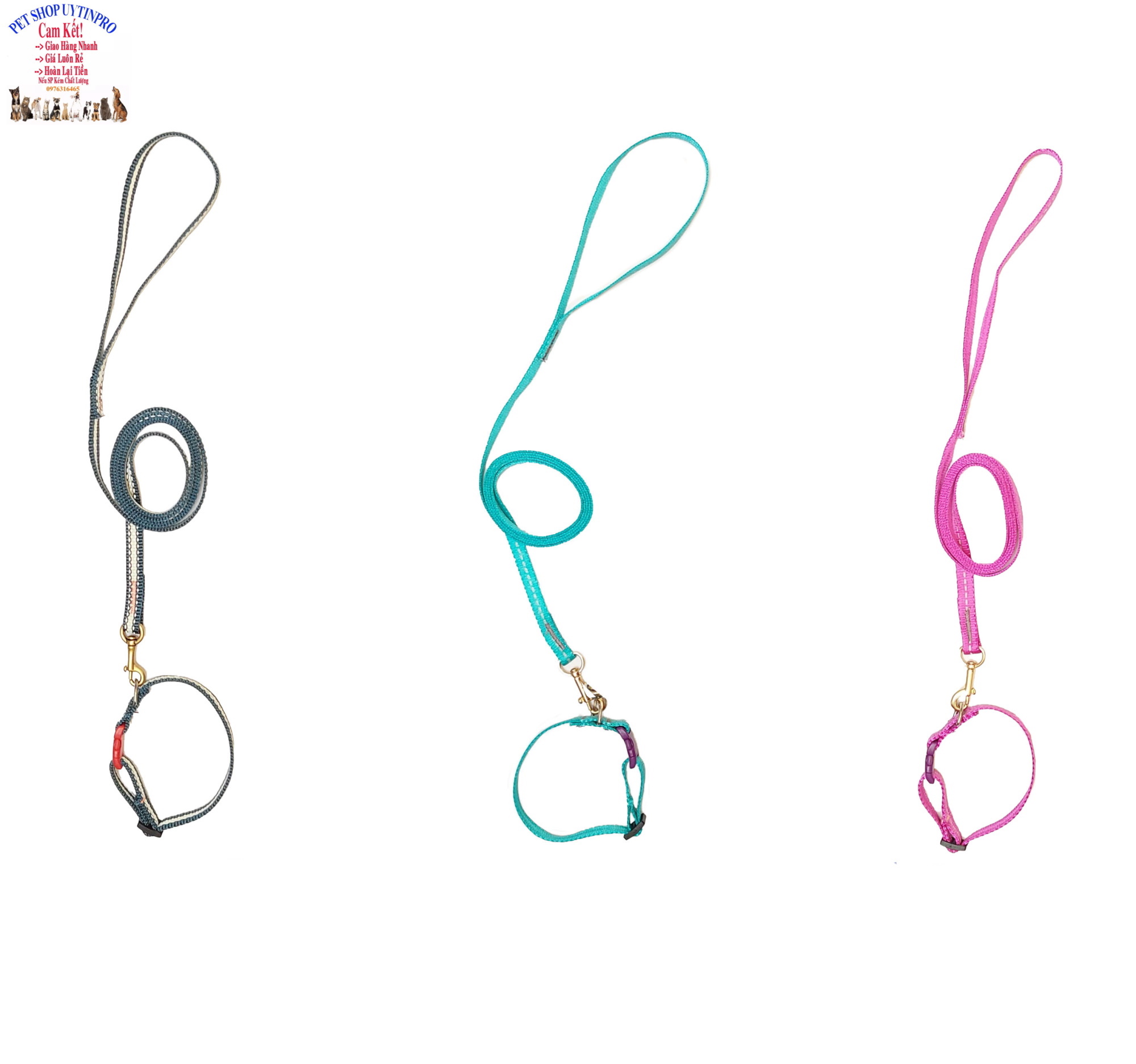 Dây dắt kèm vòng cổ cho Chó Mèo từ 1kg đến 5kg Bản rộng 1cm, Chất liệu vải dù, Bền đẹp, Chắc chắn, An toàn SX tại VN