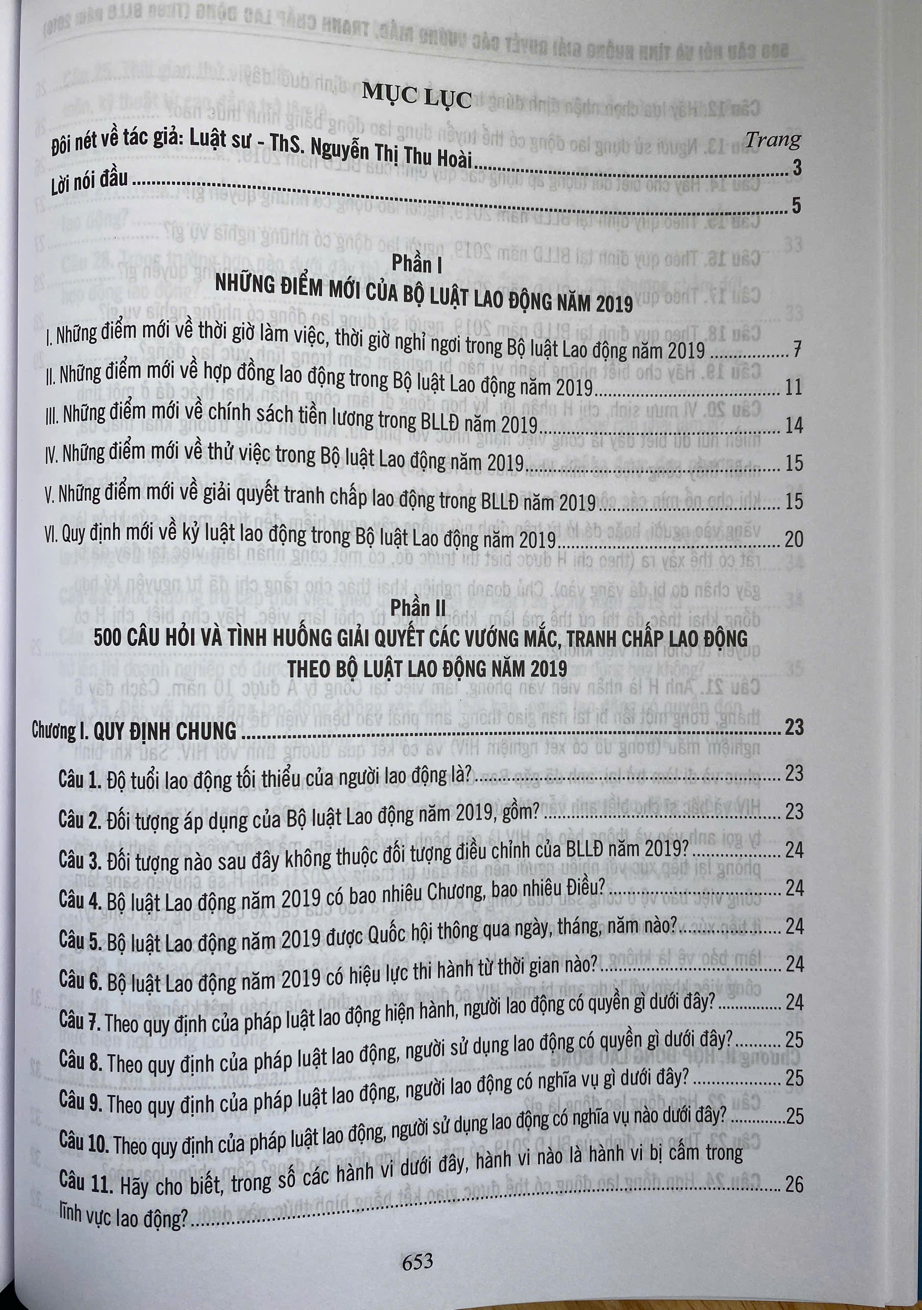 500 Câu hỏi Và Tình Huống Giải Các Vướng Mắc Tranh Chấp Lao Động Theo Bộ Luật lao Động Năm 2019