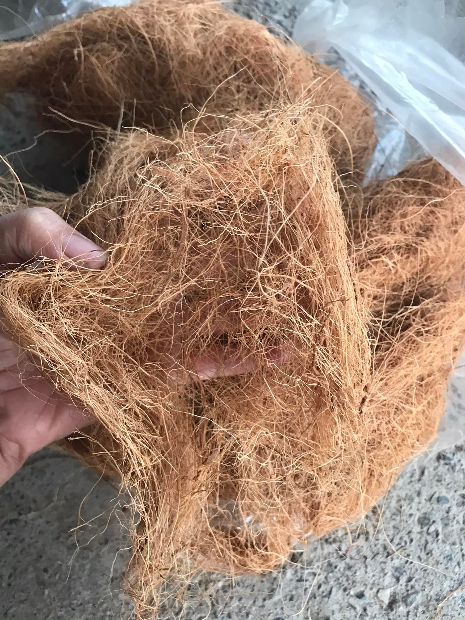 Sơ dừa sợi giá thể trồng cây và hoa kiểng, rất thích hợp cho lan, thoáng rễ giữ ẩm tốt