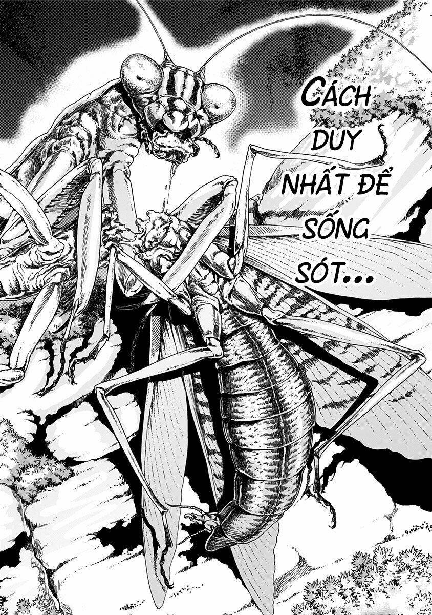 tomogui kyoushitsu chapter 2 28