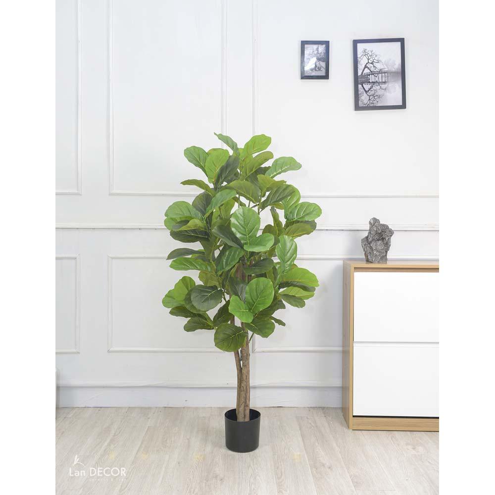 Cây bàng Singapore giả giống thật 99% - Cao 135 cm – Cây giả, hoa lụa decor trang trí rẻ, bền, đẹp