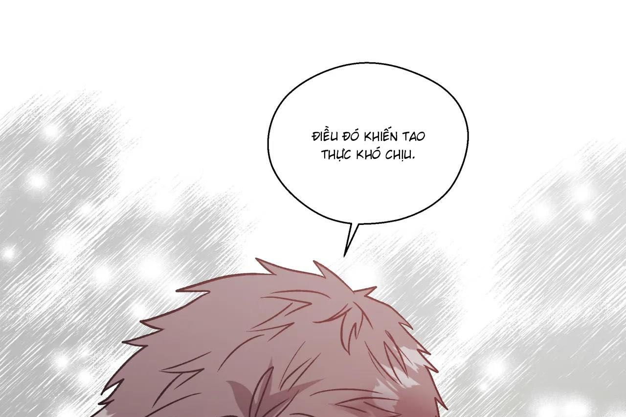 ám ảnh pheromone chapter 62 16