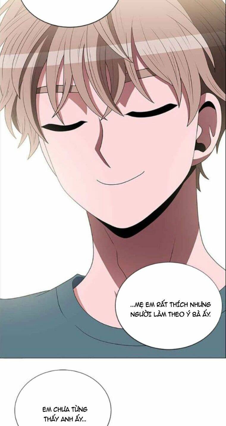 no scope chapter 117 28