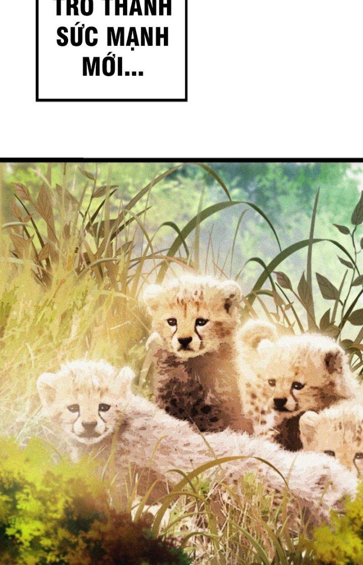 từ cây cổ thụ bắt đầu tiến hóa chapter 13 124