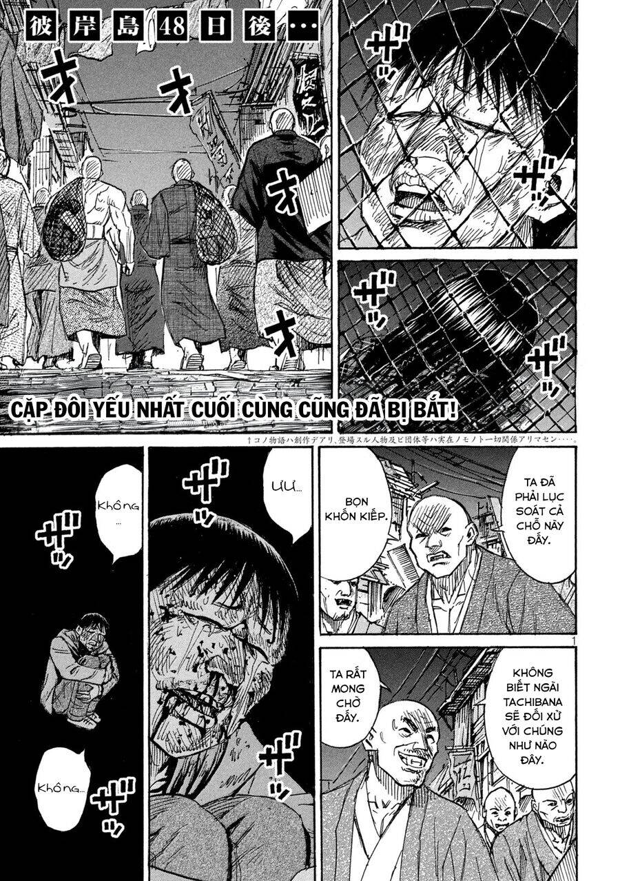 đảo ma cà rồng chapter 885 2