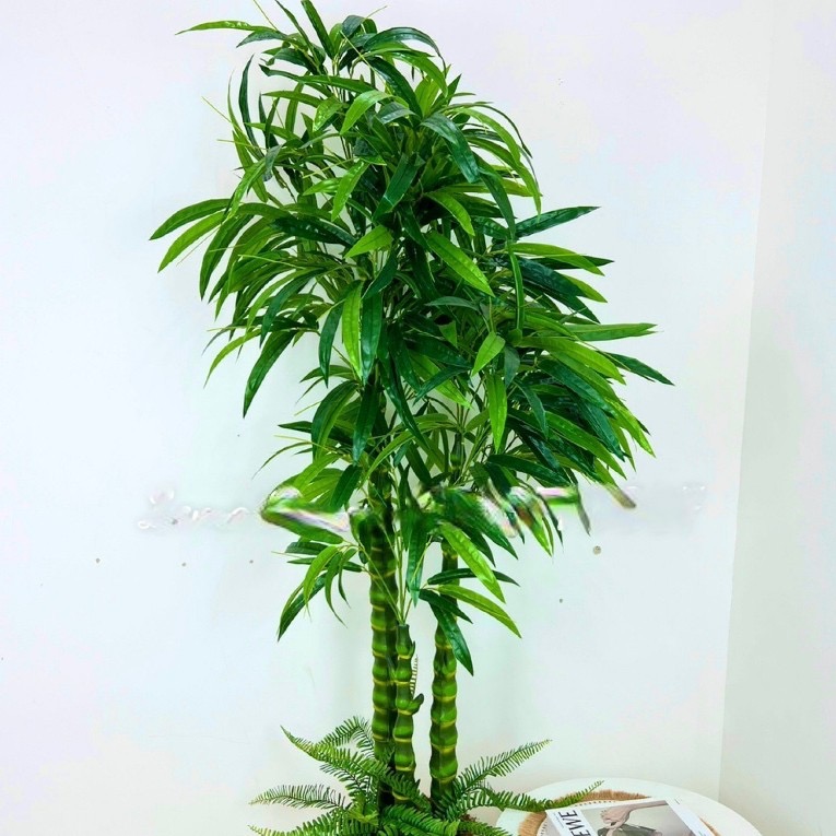 Cây trúc phật bà giả - cao 170cm - 3 nhánh - Cây giả, hoa lụa Decor trang trí nhà cửa