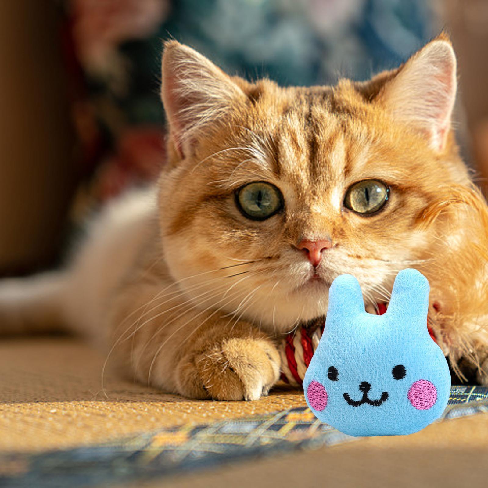 Cats Chew Toys Interactive Cat Toys Cat Pillows Catnip Toys for Indoor Cats