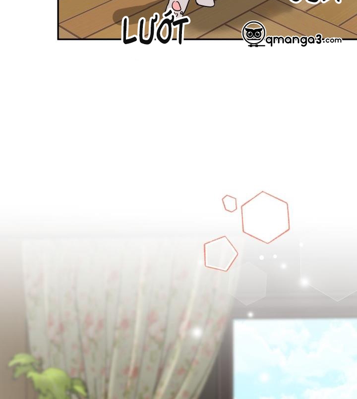 xác suất tình yêu chapter 50 22