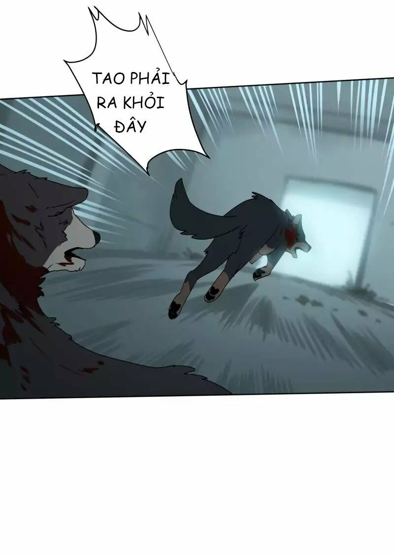 lumine - cội nguồn ánh sáng chapter 29 8