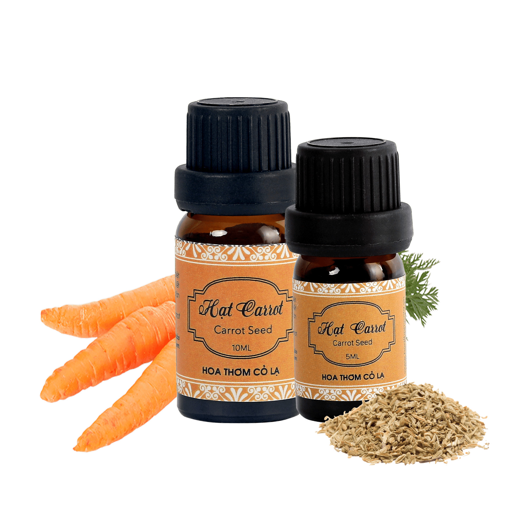 Tinh Dầu Hạt Cà Rốt - Carrot Seed Essential Oil 10ml - Hoa Thơm Cỏ Lạ