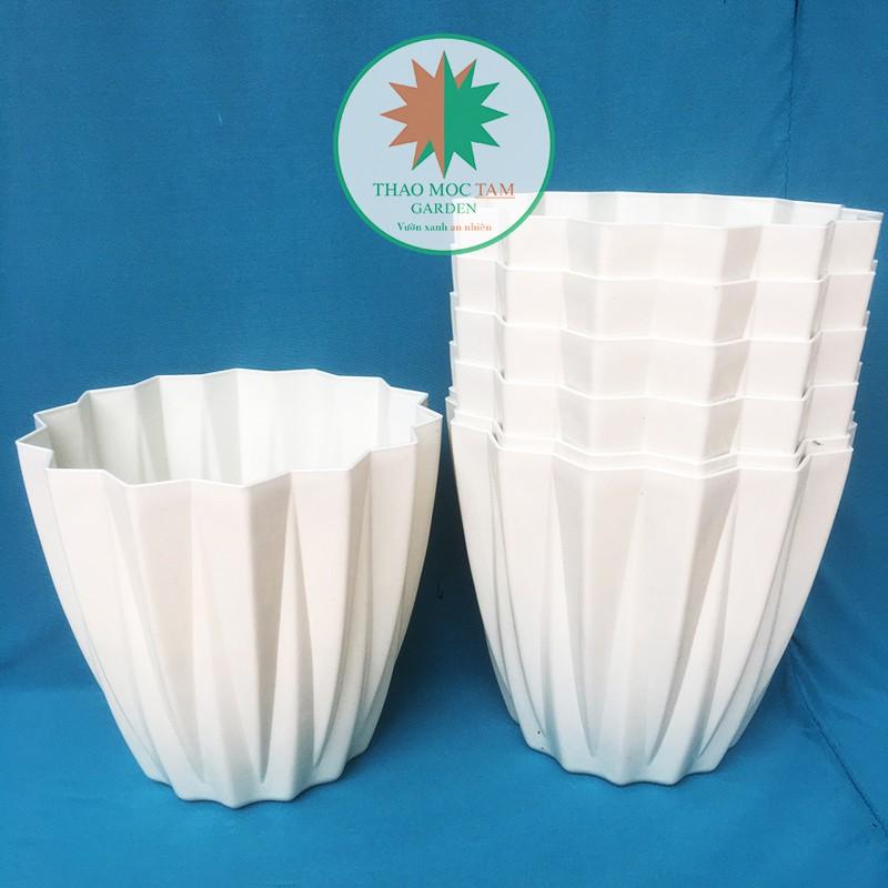 10c Chậu Kim Cương 28x25cm cạnh khế – Chậu nhựa kim cương nhiều cạnh, trồng hoa, cây kiểng trang trí sang trọng